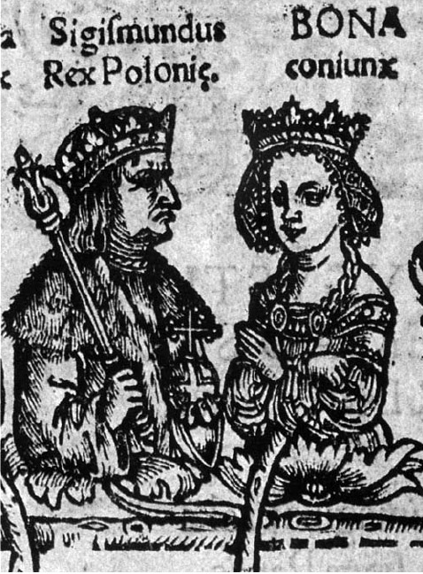 Zygmunt I Stary i Bona, fragment drzewa genealogicznego Jagiellonów, Ludwik Decjusz De Sigismondi Regis temporibus, domena publiczna