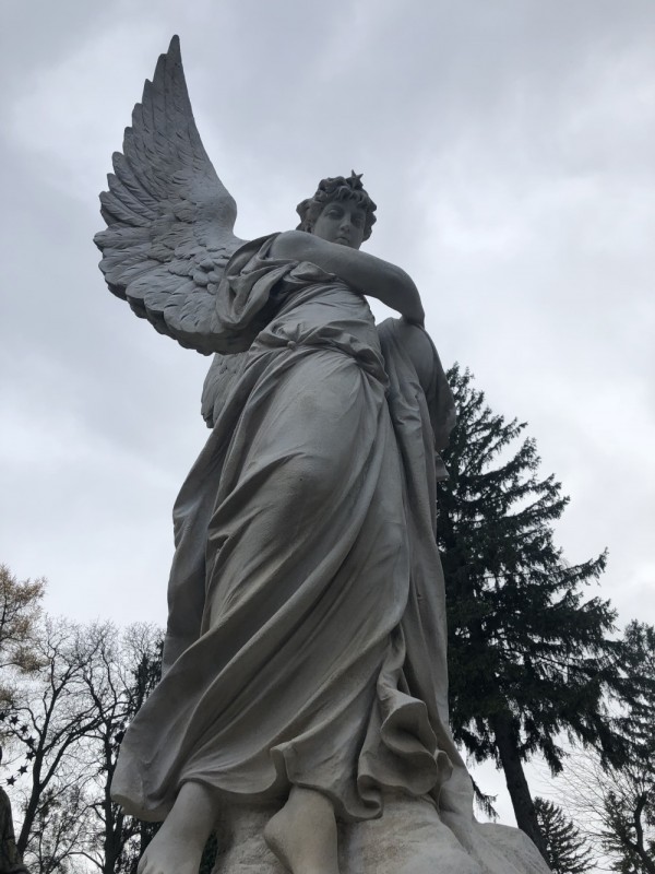 Nagrobek Marcelego Ciemirskiego, Cmentarz Łyczakowski, Instytut POLONIKA