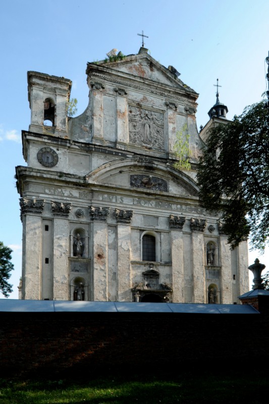 Kościół p.w. św. Trójcy, Ołyka, Instytut POLONIKA