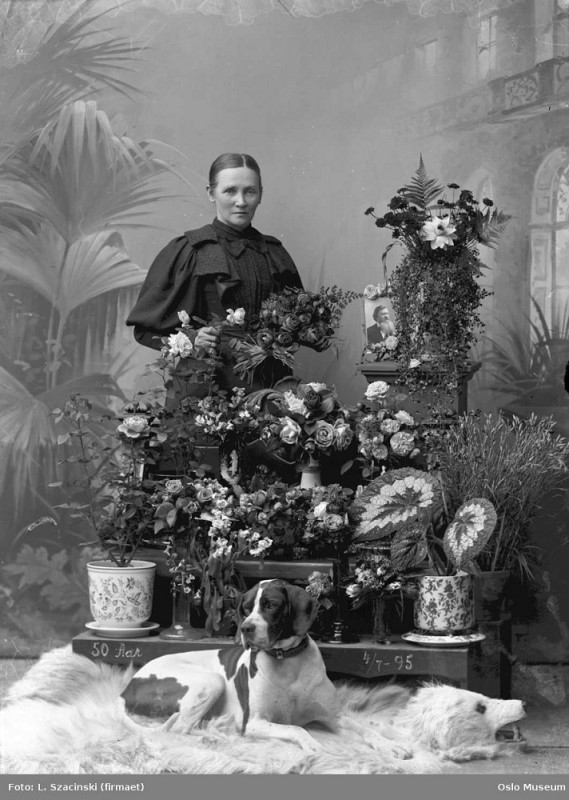A photograph by Ludwik Szaciński