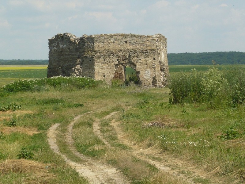 Ruiny zamku w Żwańcu, fot. Tomasz Lesniowski, Wikipedia, licencja CC BY-SA 3.0 