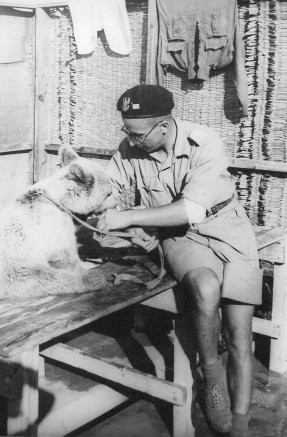 Wojtek