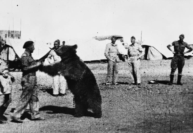 Wojtek