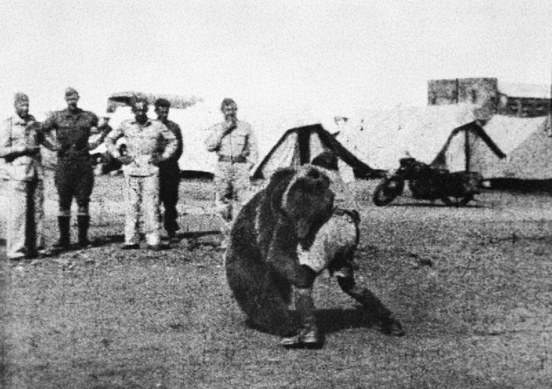 Wojtek
