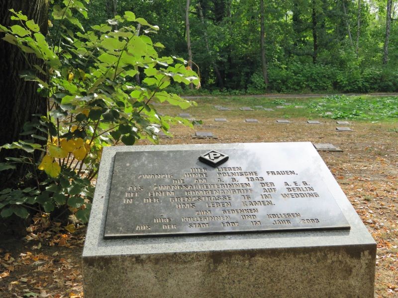 image003