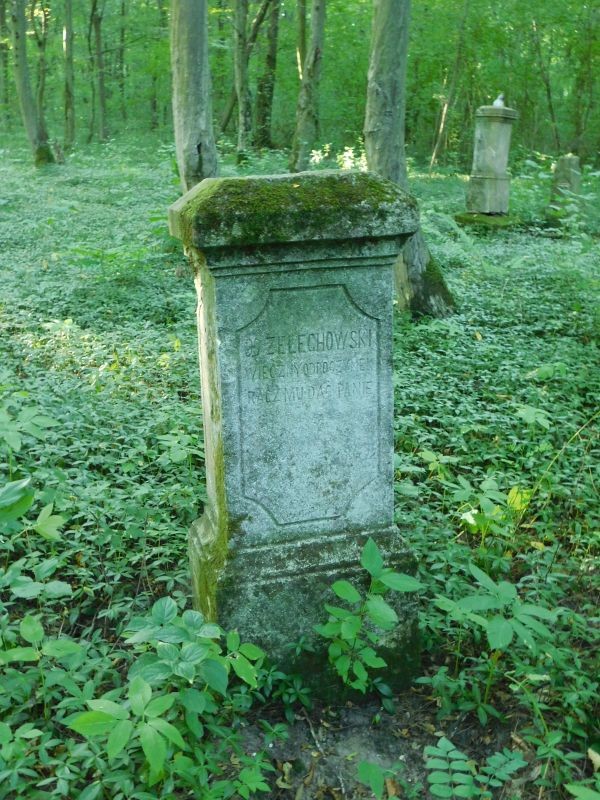 image003