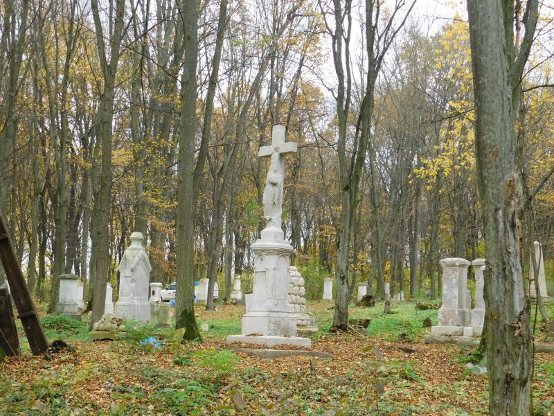 image008